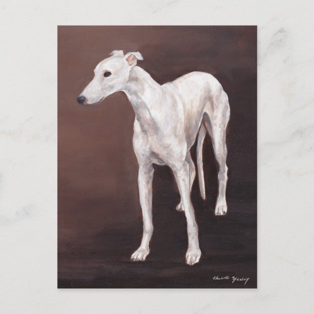 White Greyhound Dog Art Postcard (Front)