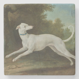 White Greyhound Dog (by Jean-Baptiste Oudry) Stone Coaster