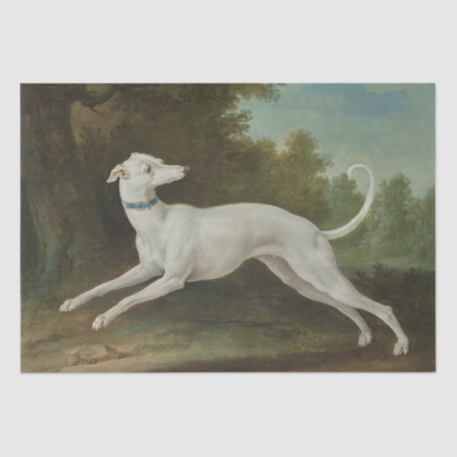 White Greyhound Dog (by Jean-Baptiste Oudry) Tissue Paper (Front)