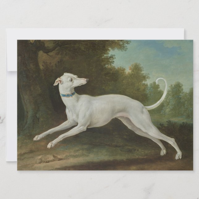 White Greyhound Dog Card (Front)