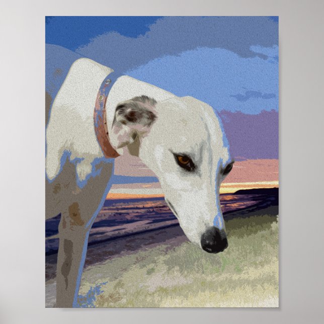 White Greyhound Oil Paint, Poster (Front)