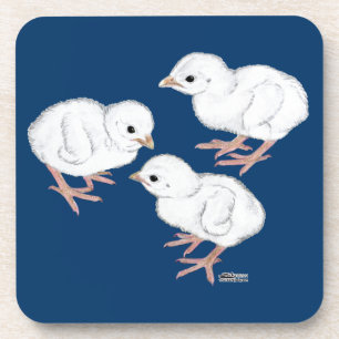 White Guinea Keets Coaster