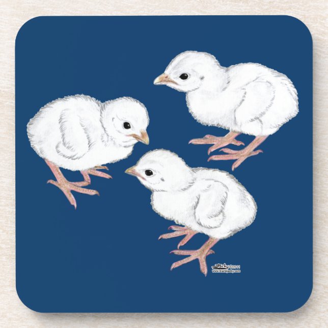 White Guinea Keets Coaster (Front)