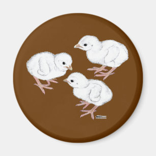 White Guinea Keets Magnet