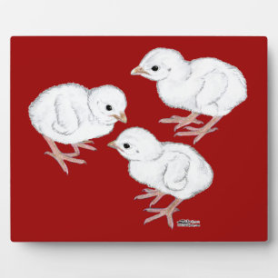White Guinea Keets Plaque