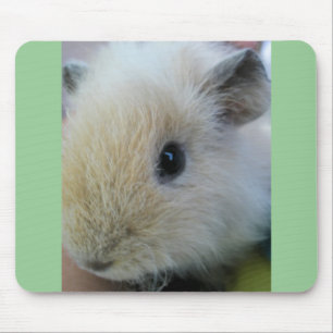 White Guinea Pig With Pretty Green Edges Mouse Pad