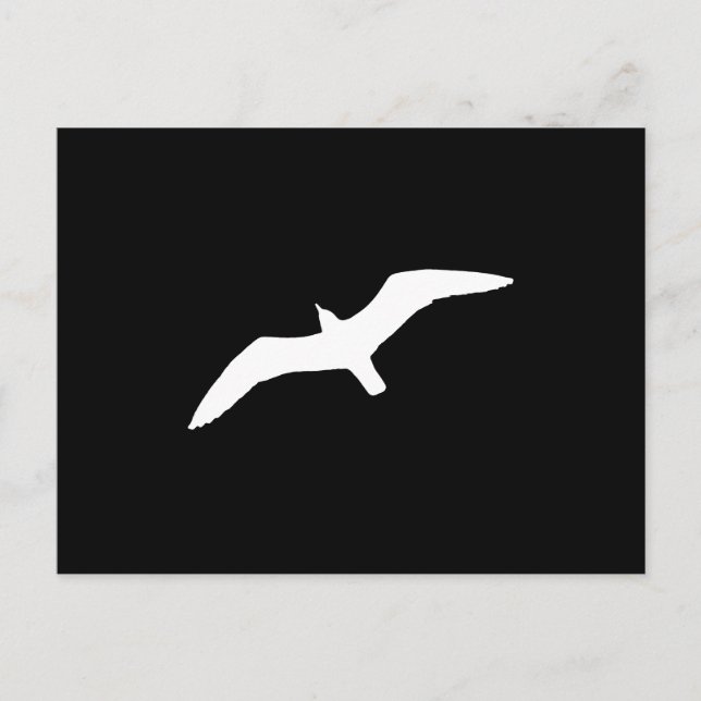 White Gull Postcard (Front)
