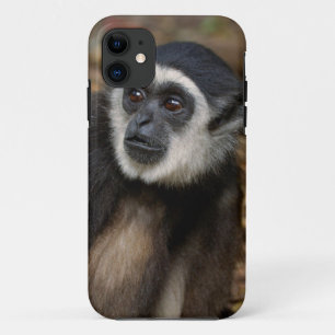 White-Handed Gibbon (Hylobates Lar), Monkeyland iPhone 11 Case