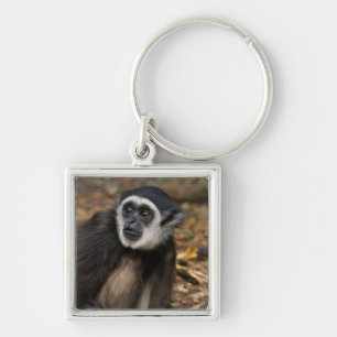 White-Handed Gibbon (Hylobates Lar), Monkeyland Key Ring