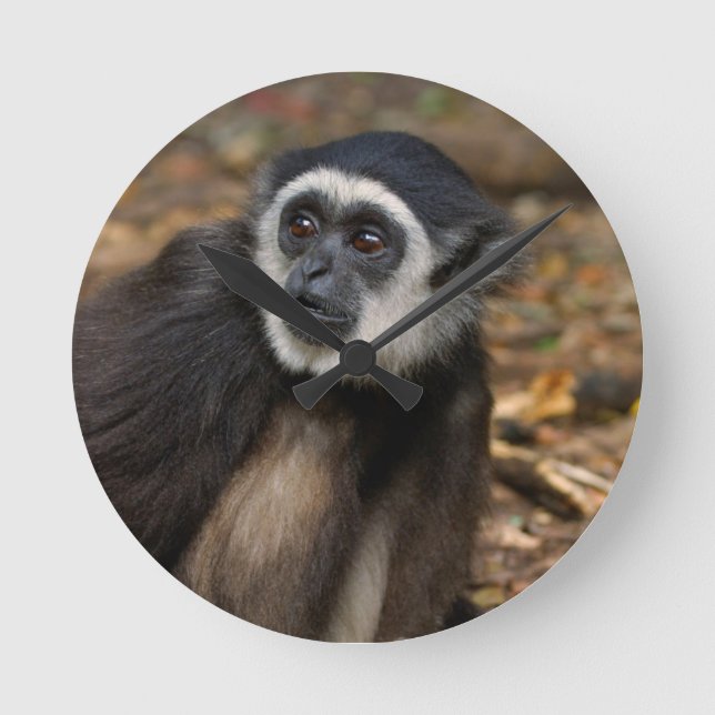 White-Handed Gibbon (Hylobates Lar), Monkeyland Round Clock (Front)