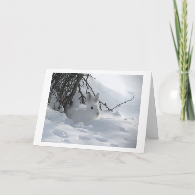 WHITE HARE IN SNOW HOLIDAY CARD (Front)