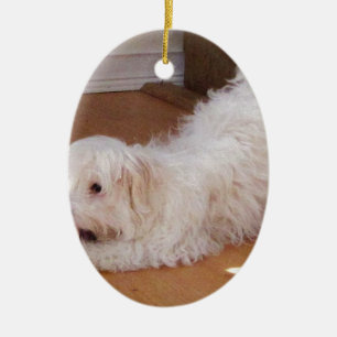 White Havanese Puppy Playing with Red Ball Ceramic Tree Decoration