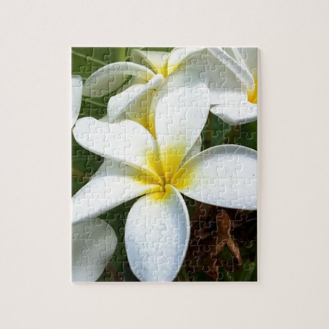 White Hawaii Plumeria Flower Jigsaw Puzzle (Vertical)