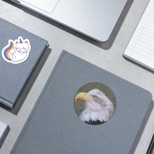 White Headed Bald Eagle Photo Classic Round Sticker (In Situ)