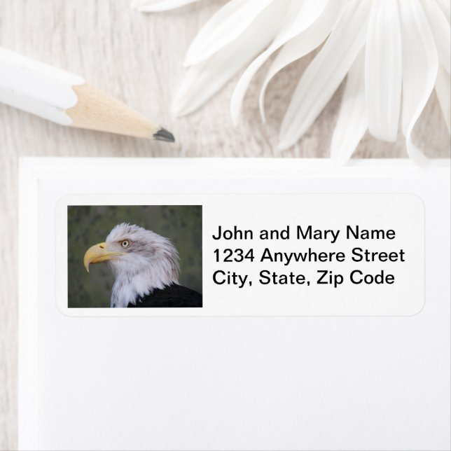 White Headed Bald Eagle Return Address Return Address Label (Insitu)