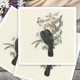 White-headed Fruit Pigeon, Napkin