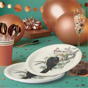 White-headed Fruit Pigeon, Paper Plate