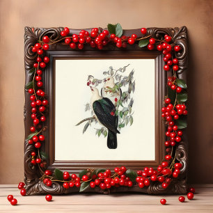 White-headed Fruit Pigeon, Vintage Poster