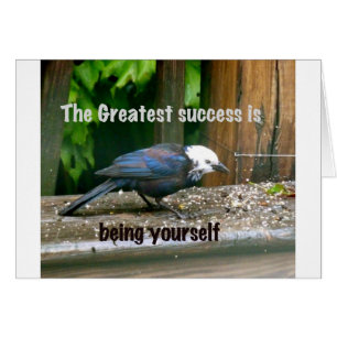 white-headed starling