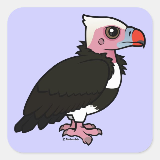 White-headed Vulture Square Sticker (Front)