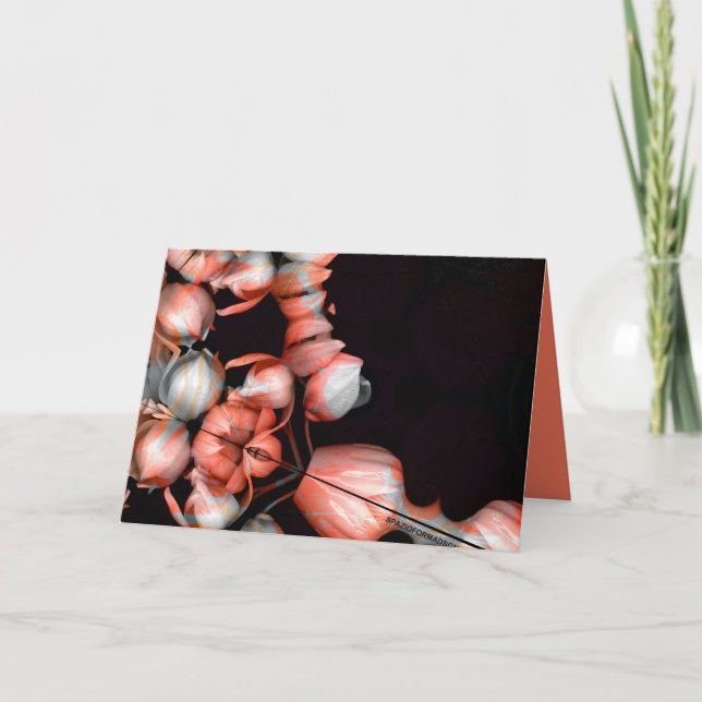 "White heart in black from sun" & Journey Card (Front)