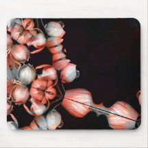 "White heart in black from sun"