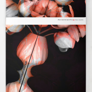 "White heart in black from sun" & Silence Tri-Fold Holiday Card