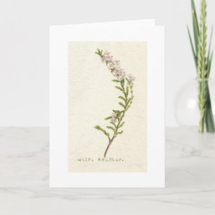 White Heather Card