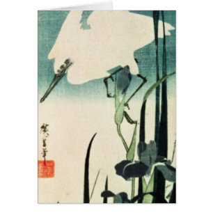 White Heron and Iris