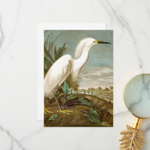 White Heron by John James Audubon Thank You Card