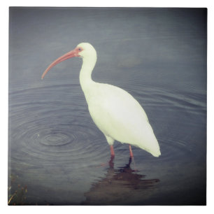 White Heron Fishing In Pond Ceramic Tile