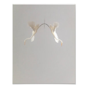 White Heron Taking Off Zen Photo Print