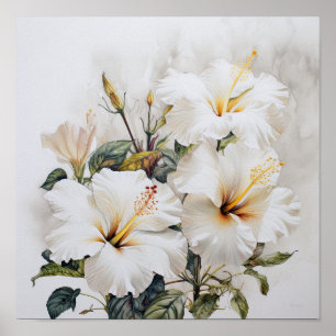 White Hibiscus Flower Art Print Poster