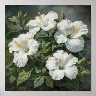 White Hibiscus Flower Art Print Poster