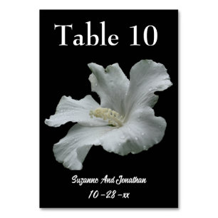 White Hibiscus Flower Wedding Table Number