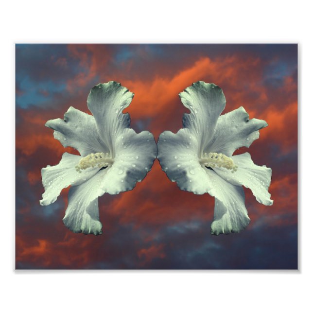 White Hibiscus Flowers On Dramatic Sky Photo Print (Front)