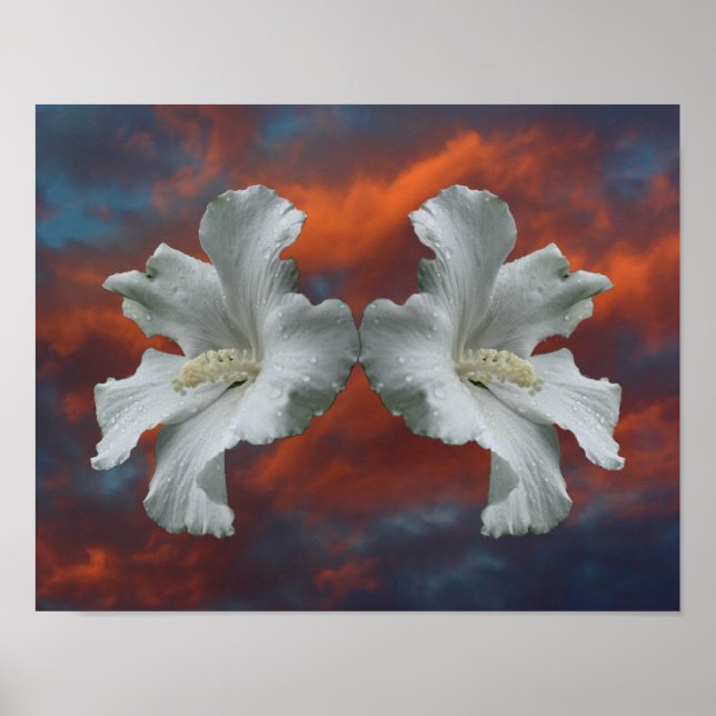 White Hibiscus Flowers On Dramatic Sky Poster (Front)