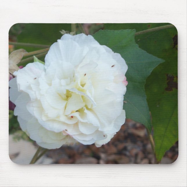white hibiscus mutabilis flower mouse pad (Front)