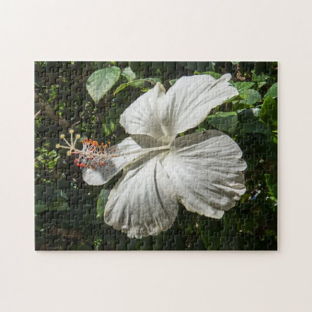White Hibiscus | Peaceful Nature Jigsaw Puzzle (Horizontal)