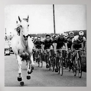 White Horse 1975 Tour De France Color Redux Poster