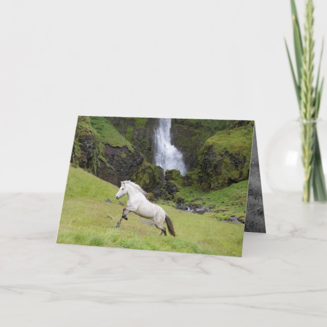 White Horse and the Waterfall Horse Greeting Card (Front)