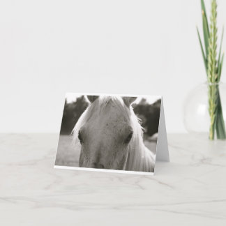 White Horse Blank Note Card