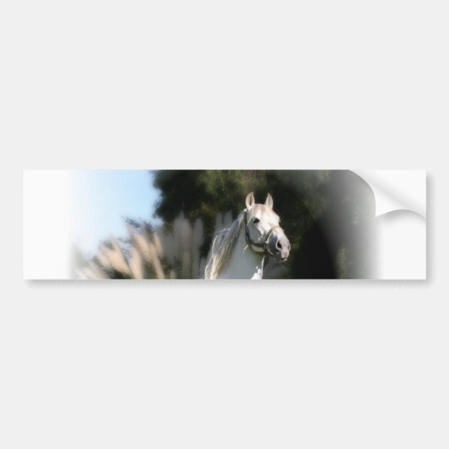 White Horse Bumper Sticker (Front)