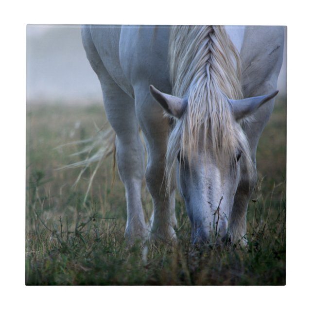 White Horse Ceramic Tile (Front)