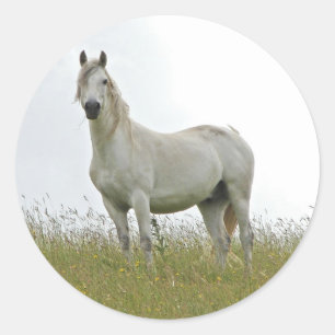 White Horse Classic Round Sticker