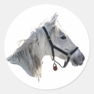 White Horse Classic Round Sticker