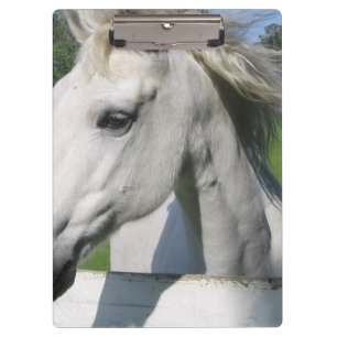 White Horse Clipboard