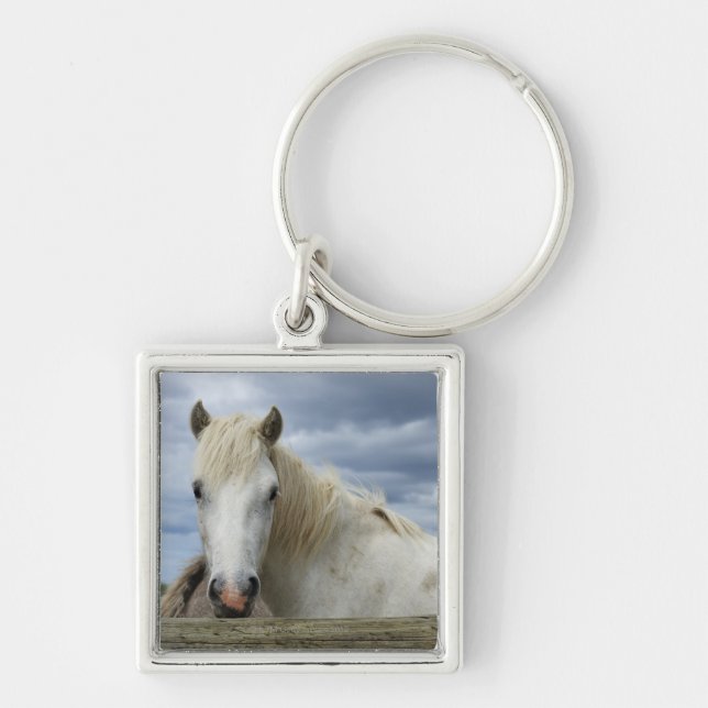 White Horse | France Key Ring (Front)