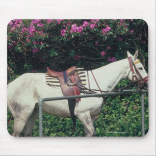 White Horse in a Garden Mouse Pad