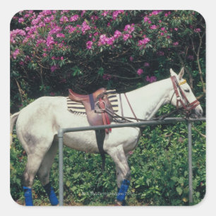 White Horse in a Garden Square Sticker